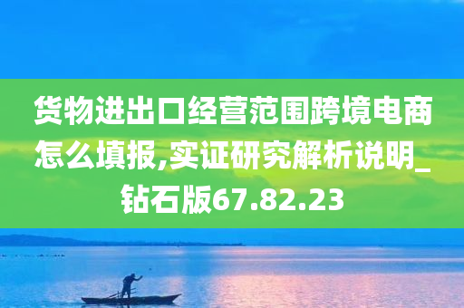 货物进出口经营范围跨境电商怎么填报,实证研究解析说明_钻石版67.82.23