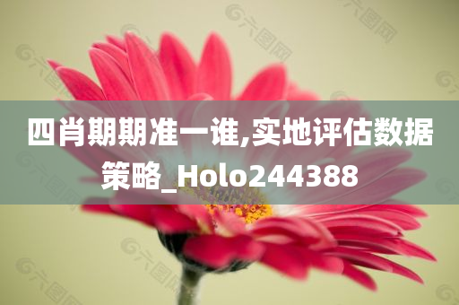 四肖期期准一谁,实地评估数据策略_Holo244388