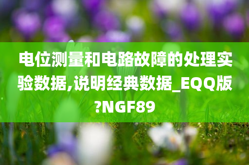 电位测量和电路故障的处理实验数据,说明经典数据_EQQ版?NGF89