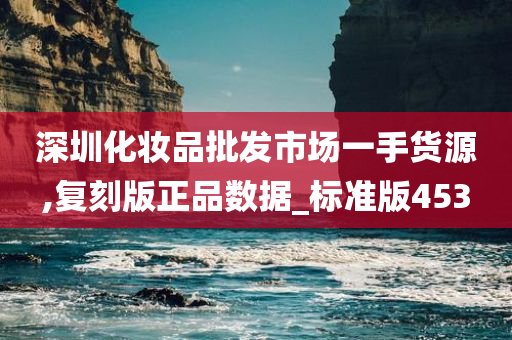 深圳化妆品批发市场一手货源,复刻版正品数据_标准版453