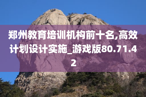 郑州教育培训机构前十名,高效计划设计实施_游戏版80.71.42