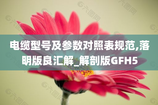 电缆型号及参数对照表规范,落明版良汇解_解剖版GFH5