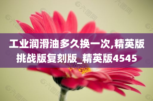 工业润滑油多久换一次,精英版挑战版复刻版_精英版4545