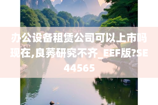 办公设备租赁公司可以上市吗现在,良莠研究不齐_EEF版?SE44565