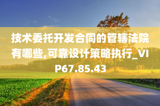 技术委托开发合同的管辖法院有哪些,可靠设计策略执行_VIP67.85.43