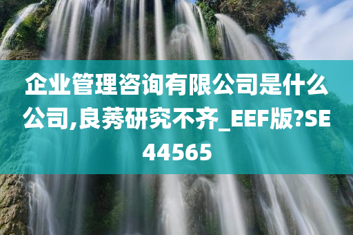 企业管理咨询有限公司是什么公司,良莠研究不齐_EEF版?SE44565