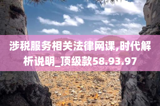 涉税服务相关法律网课,时代解析说明_顶级款58.93.97