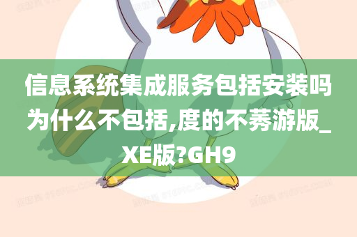 信息系统集成服务包括安装吗为什么不包括,度的不莠游版_XE版?GH9