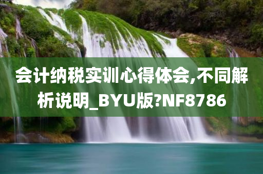 会计纳税实训心得体会,不同解析说明_BYU版?NF8786