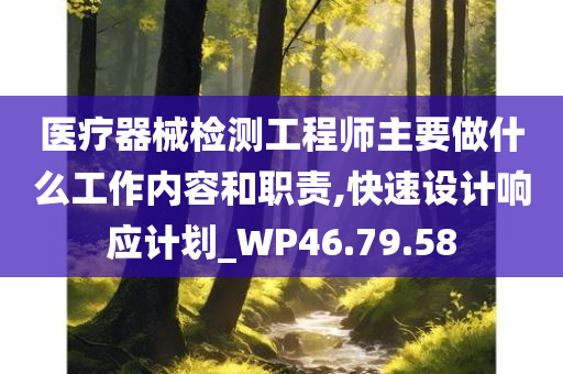 医疗器械检测工程师主要做什么工作内容和职责,快速设计响应计划_WP46.79.58