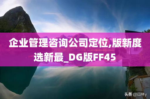 企业管理咨询公司定位,版新度选新最_DG版FF45