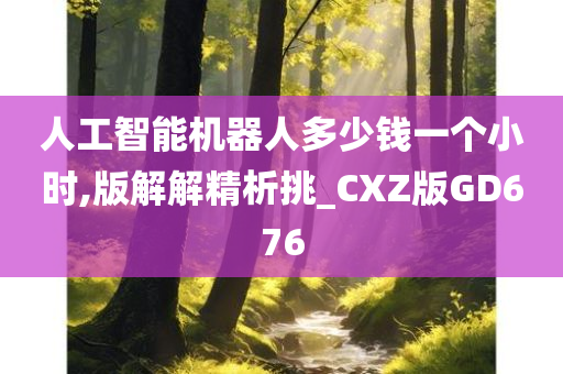 人工智能机器人多少钱一个小时,版解解精析挑_CXZ版GD676