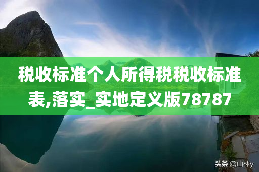 税收标准个人所得税税收标准表,落实_实地定义版78787