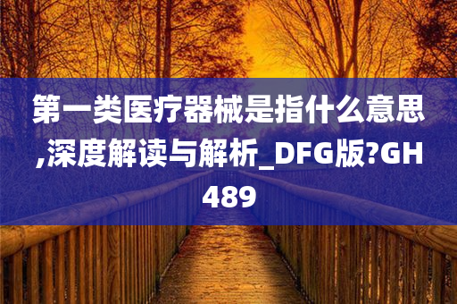 第一类医疗器械是指什么意思,深度解读与解析_DFG版?GH489