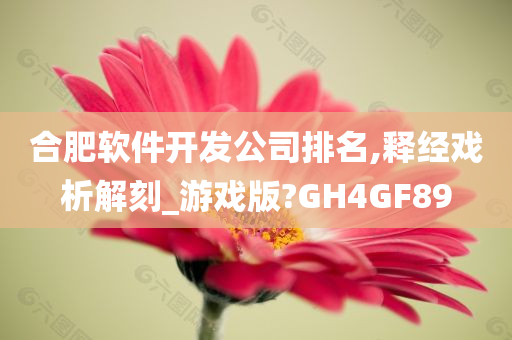 合肥软件开发公司排名,释经戏析解刻_游戏版?GH4GF89