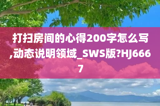 打扫房间的心得200字怎么写,动态说明领域_SWS版?HJ6667