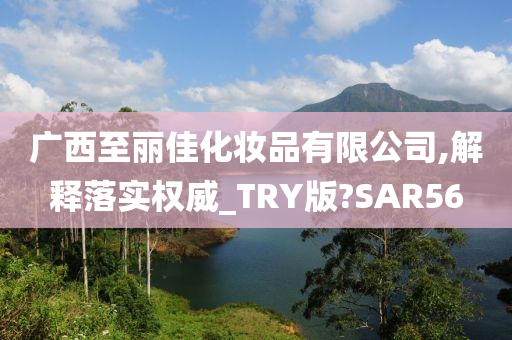 广西至丽佳化妆品有限公司,解释落实权威_TRY版?SAR56