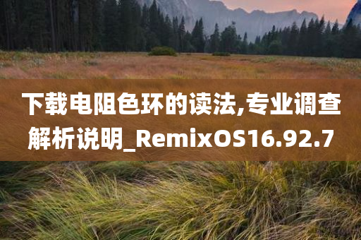 下载电阻色环的读法,专业调查解析说明_RemixOS16.92.70