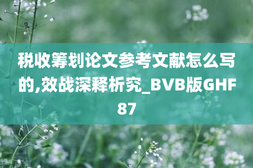 税收筹划论文参考文献怎么写的,效战深释析究_BVB版GHF87