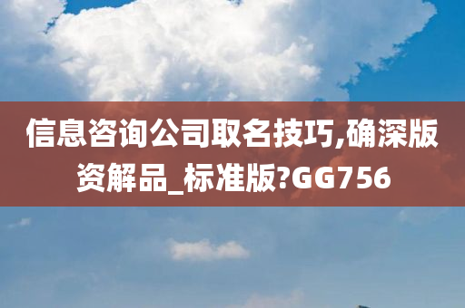 信息咨询公司取名技巧,确深版资解品_标准版?GG756