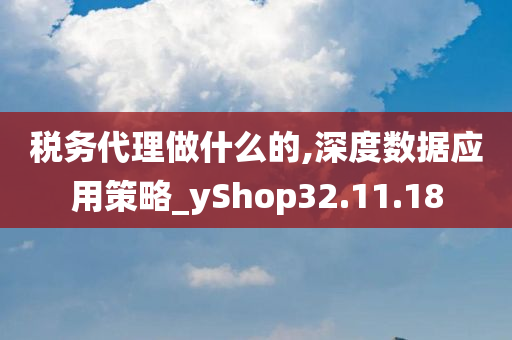 税务代理做什么的,深度数据应用策略_yShop32.11.18