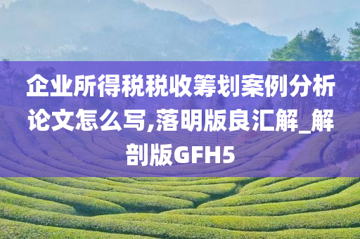 企业所得税税收筹划案例分析论文怎么写,落明版良汇解_解剖版GFH5