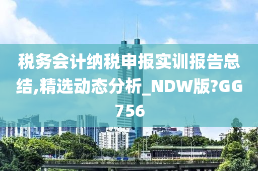 税务会计纳税申报实训报告总结,精选动态分析_NDW版?GG756