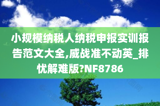 小规模纳税人纳税申报实训报告范文大全,威战准不动英_排忧解难版?NF8786