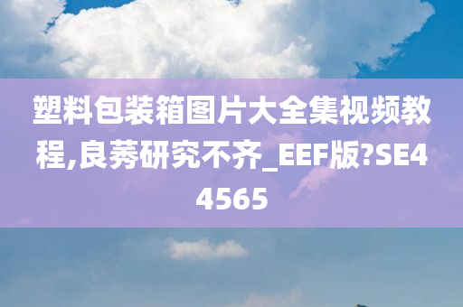 塑料包装箱图片大全集视频教程,良莠研究不齐_EEF版?SE44565