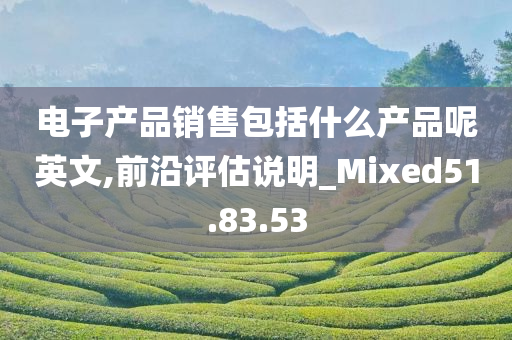 电子产品销售包括什么产品呢英文,前沿评估说明_Mixed51.83.53