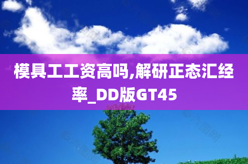 模具工工资高吗,解研正态汇经率_DD版GT45