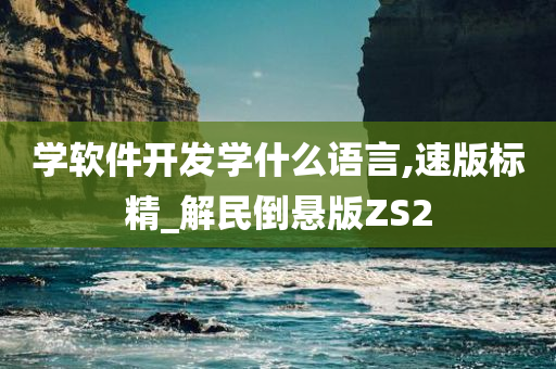 学软件开发学什么语言,速版标精_解民倒悬版ZS2