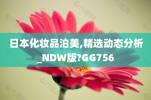 日本化妆品泊美,精选动态分析_NDW版?GG756