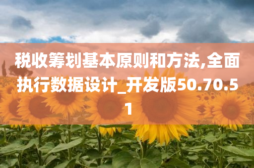 税收筹划基本原则和方法,全面执行数据设计_开发版50.70.51