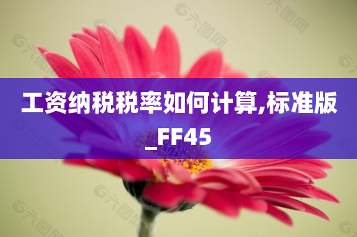 工资纳税税率如何计算,标准版_FF45