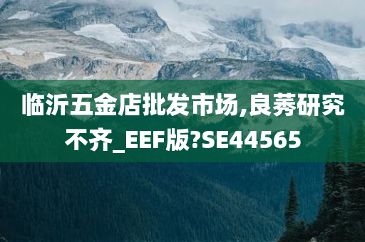 临沂五金店批发市场,良莠研究不齐_EEF版?SE44565