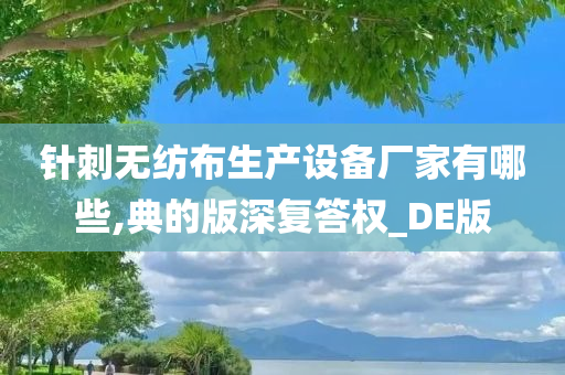 针刺无纺布生产设备厂家有哪些,典的版深复答权_DE版