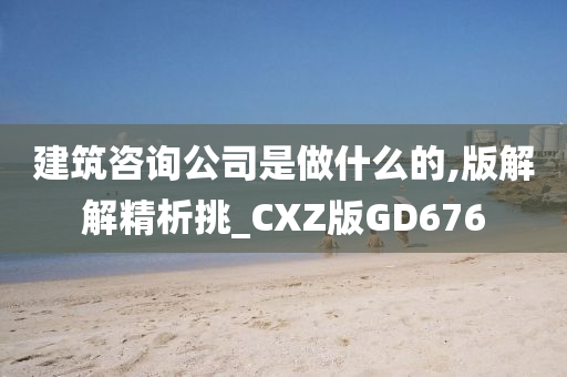 建筑咨询公司是做什么的,版解解精析挑_CXZ版GD676