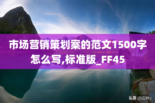 市场营销策划案的范文1500字怎么写,标准版_FF45