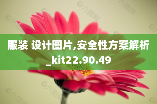 服装 设计图片,安全性方案解析_kit22.90.49