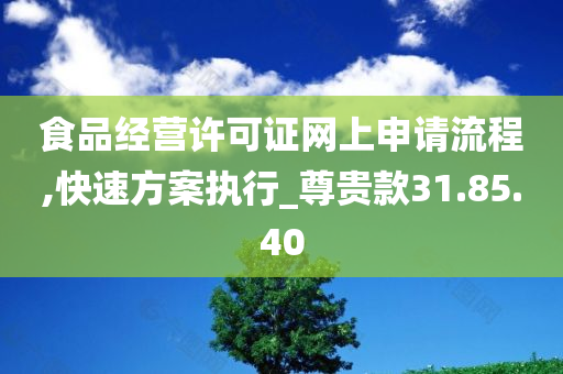 食品经营许可证网上申请流程,快速方案执行_尊贵款31.85.40