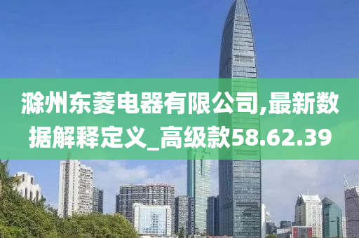 滁州东菱电器有限公司,最新数据解释定义_高级款58.62.39