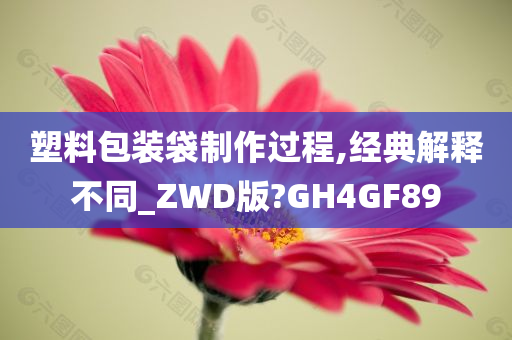 塑料包装袋制作过程,经典解释不同_ZWD版?GH4GF89