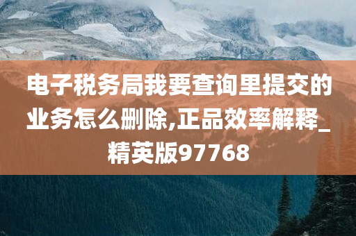 电子税务局我要查询里提交的业务怎么删除,正品效率解释_精英版97768