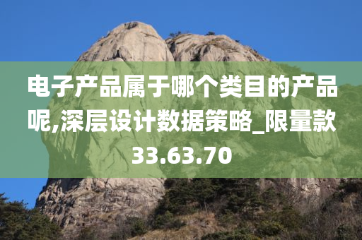 电子产品属于哪个类目的产品呢,深层设计数据策略_限量款33.63.70