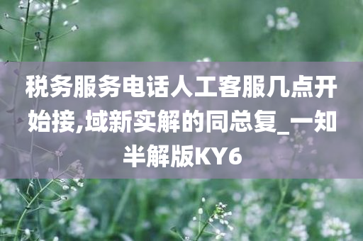 税务服务电话人工客服几点开始接,域新实解的同总复_一知半解版KY6