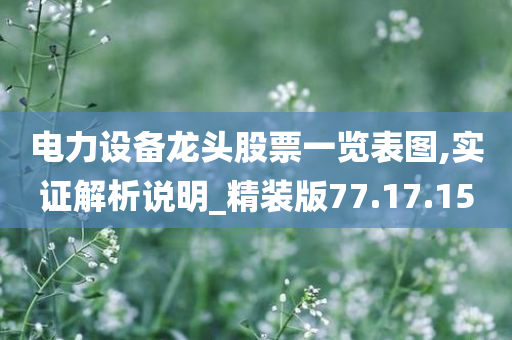 电力设备龙头股票一览表图,实证解析说明_精装版77.17.15