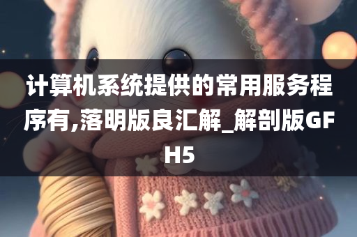 计算机系统提供的常用服务程序有,落明版良汇解_解剖版GFH5