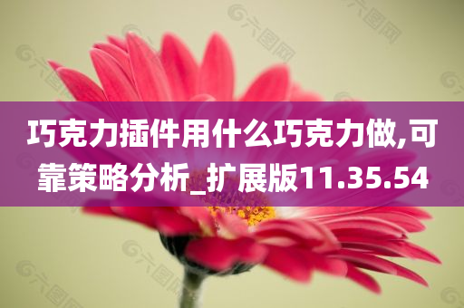 巧克力插件用什么巧克力做,可靠策略分析_扩展版11.35.54