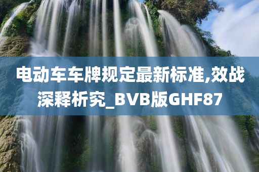 电动车车牌规定最新标准,效战深释析究_BVB版GHF87